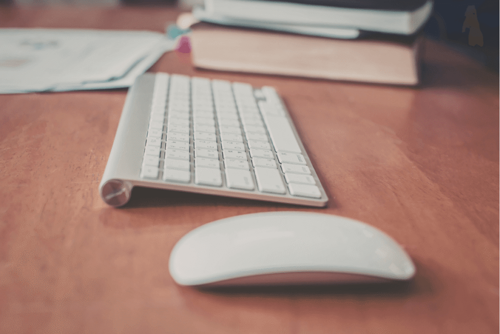 periféricos de entrada